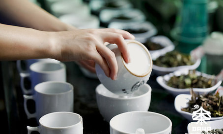 Лучший чай для вас мы выбираем все в том же формате внимательных, многочасовых дегустаций