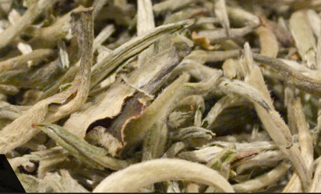 Виды и сорта китайского чая